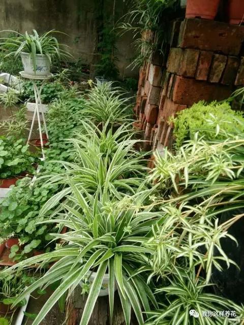 8大妙招喂出健壮宝宝