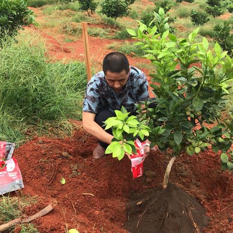 于都到桂林的相关长尾关键词有哪些