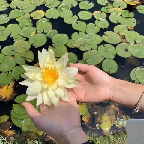 厦门市植物园在什么地方