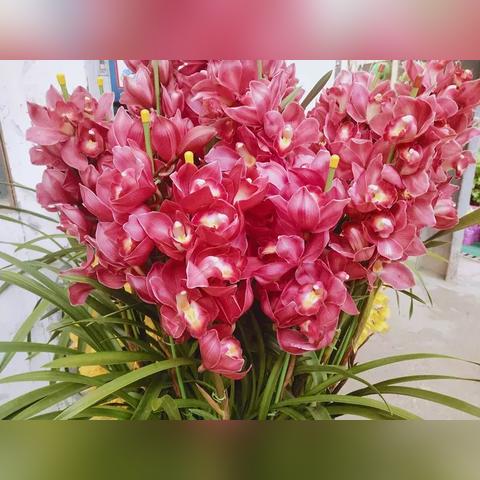 杭州市鱼具展什么时候