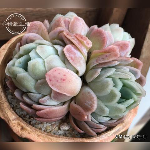 大名旅游景点大全的长尾关键词是什么