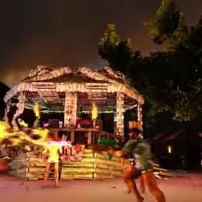 植物大战僵尸 修改器（植物大战僵尸修改器，游戏玩家的秘密武器）