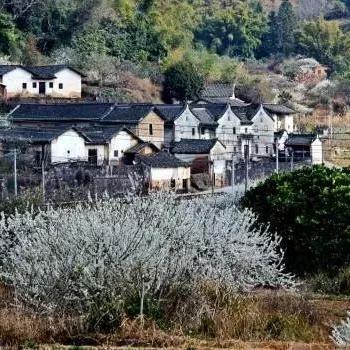 广州市三溪属于什么区