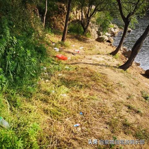 济南本地人必吃的苍蝇馆子？