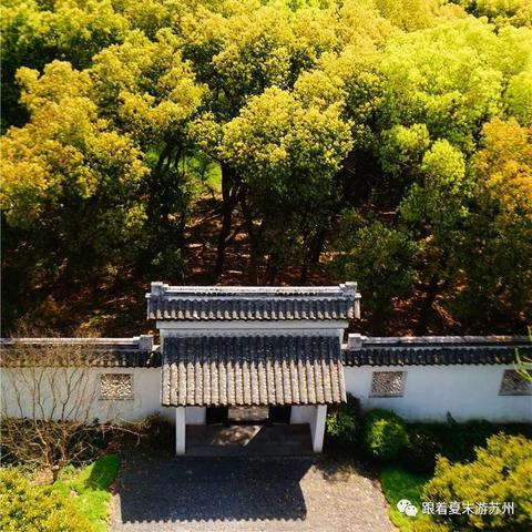 苏州市有什么香烟