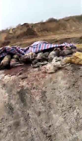 山西省最新疫情通报
 /山西省最新疫情通报今天