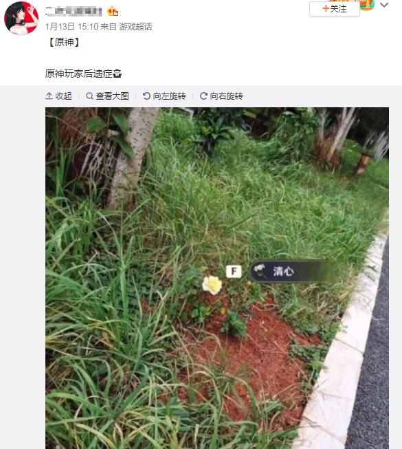 原神爬到高处怎么往下攀爬（原神地中之盐秘境怎么通过）