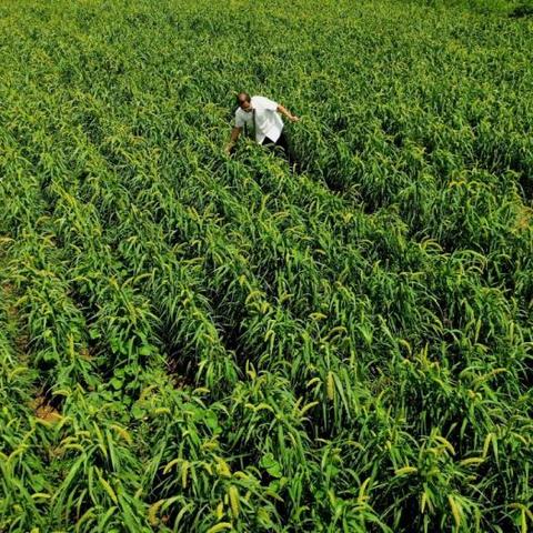 团购网站大全 广州百度长尾关键词有哪些