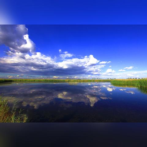 沈阳市蔚蓝公寓怎么样呀