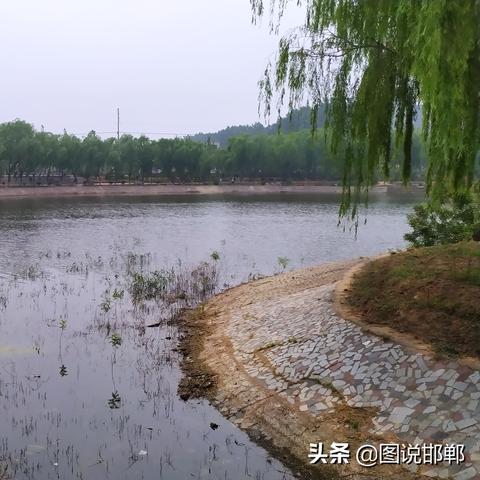 邯郸市领土面积是多少