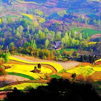 2017年临沂市公务员遴选成绩查询的长尾关键词有什么