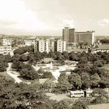 南宁市水塘江公园坐几路公交车去？