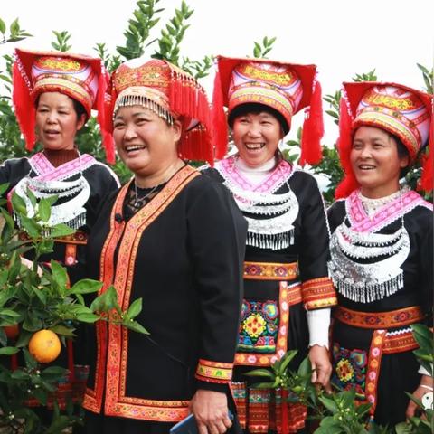 桂林市夏橙果什么价位