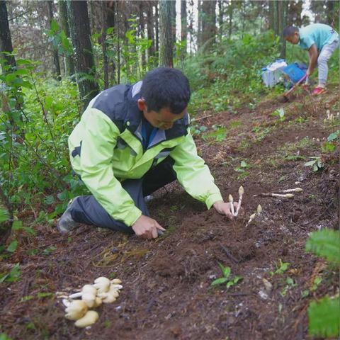 为什么算命穷苦_为什么算命穷苦(为什么说算命的人都是苦命)