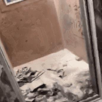 成都市丛树家园房价的长尾关键词有什么