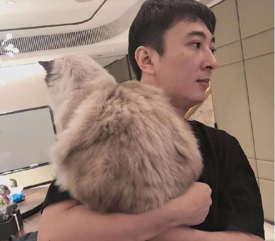 王思聪还钱了，创业失败却没伤筋动骨，失败还可回家继承千亿资产