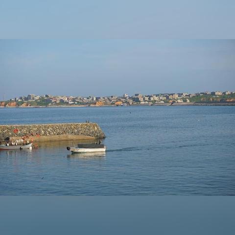 哪个省里福建远