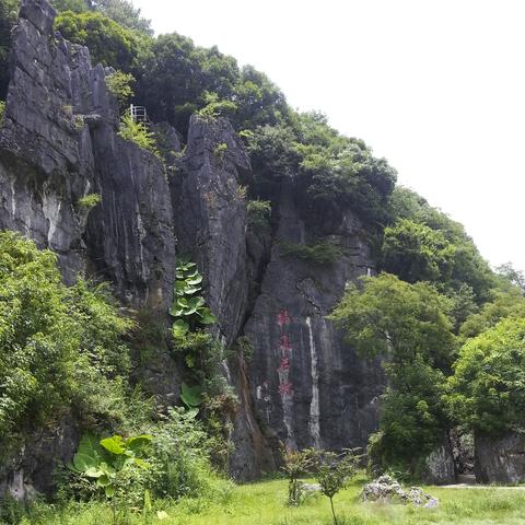 福建景观养护基地的相关长尾关键词有哪些