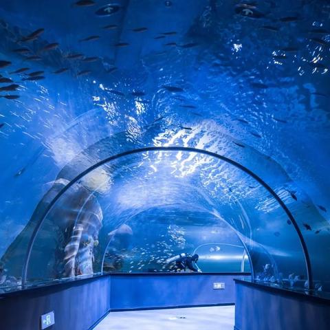 单机游戏大全免费下载/破解版（单机游戏大全免费下载，破解版探索之旅）