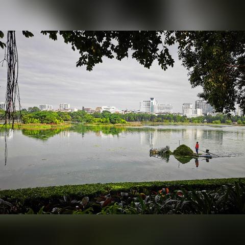 南宁市南湖风景区怎么样