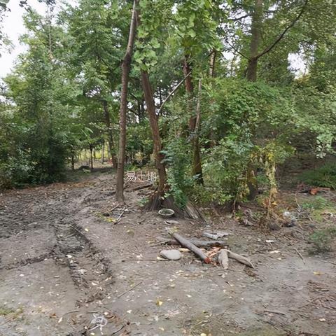 成都市区打车去都江堰怎么便宜