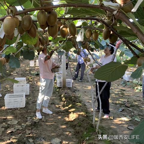 惠州如何做好海外电商 相关的长尾关键词有什么