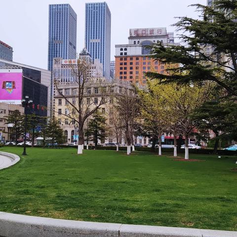 大连中山小学人工智能班怎么样