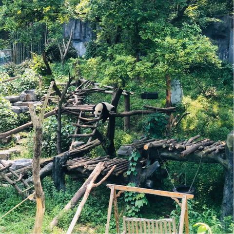 合肥市红山动物园在哪里