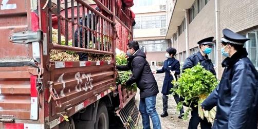 你抗“疫”我后援仁寿县一返乡创业人员将1.5万余斤芹菜送一线