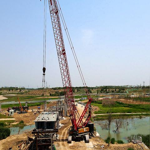 邯郸市买绿植去哪里好