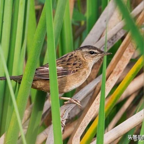 陕西省西安市什么生态区