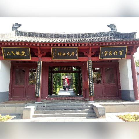 河南哪个地方有侧柏