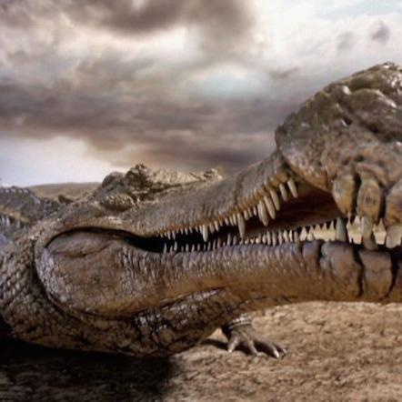 算力龙可以回收吗？