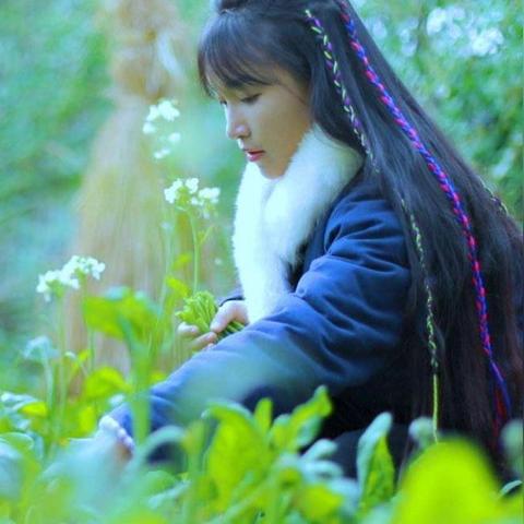 电脑单机游戏推荐（电脑单机游戏推荐，探索经典与新奇的游戏世界）