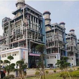 福建园为什么叫福建园