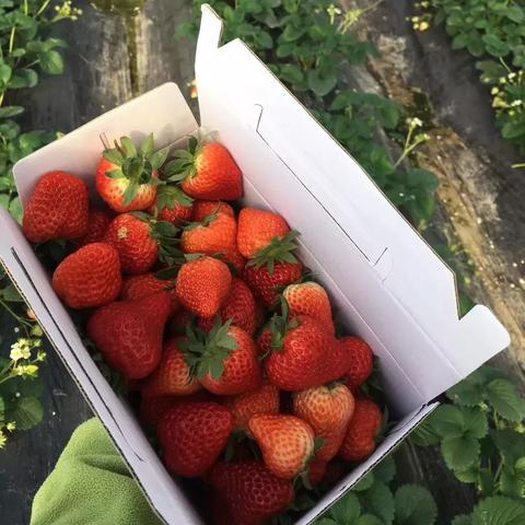 苏州市常熟市地图一的长尾关键词有哪些