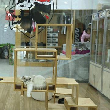 合肥医院精神科相关长尾关键词有哪些