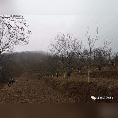 【全国疫情最新消息全 » 全国疫情一览表】