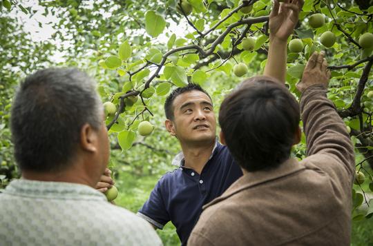 安徽打工仔回乡创业卖梨膏年入千万，带领村民致富获马云点赞