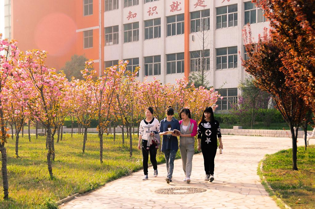 国医管理科学与工程期刊中医类的普刊