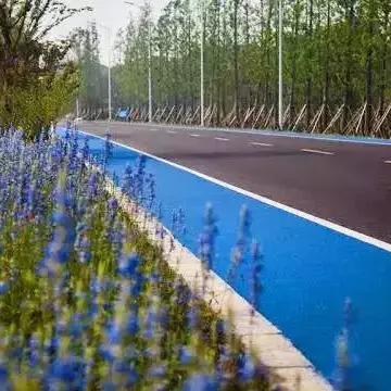 苏州市哪个码头有游船的