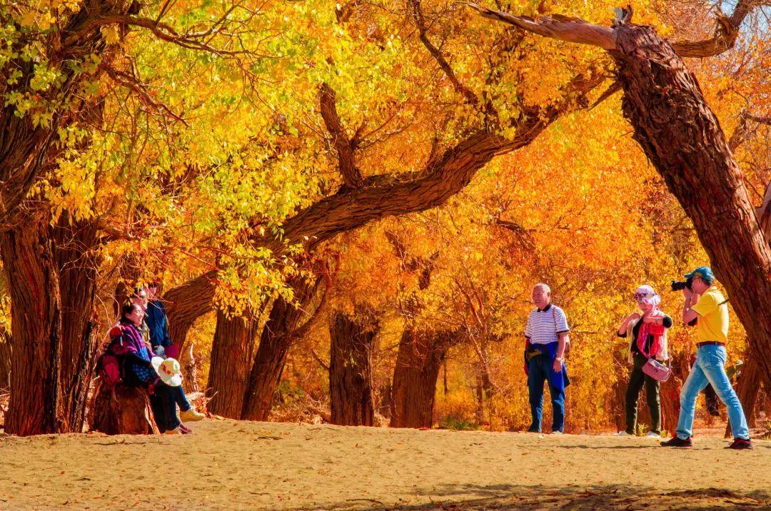 【新疆喀什疫情最新官方消息
 ,新疆喀什疫情最新官方消息今天】