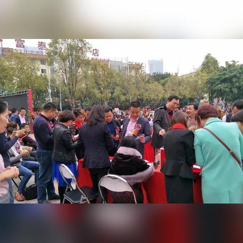 东莞市卖菜大王在哪里买