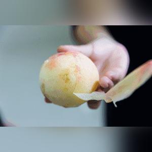 无锡市采摘农场在哪里