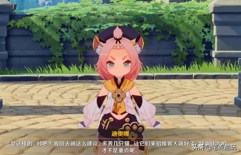 原神里的小猫该怎么抓（原神猫猫和班尼特哪个更好）