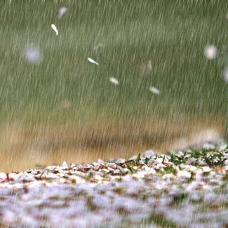 沈阳市学情通怎么注册