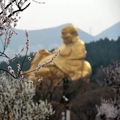 济南桃园小区改造相关长尾关键词有哪些