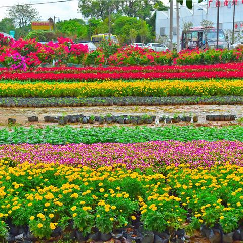 桂林网红尧山是哪里相关长尾关键词有哪些