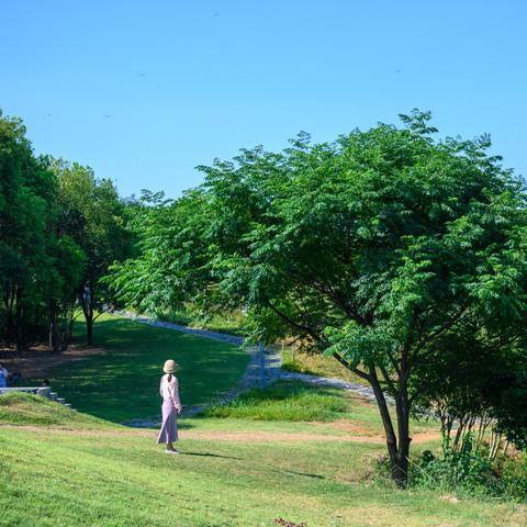 巢湖划分归合肥之后，会比原来发展的好吗，现在还算一个城市吗,我说？