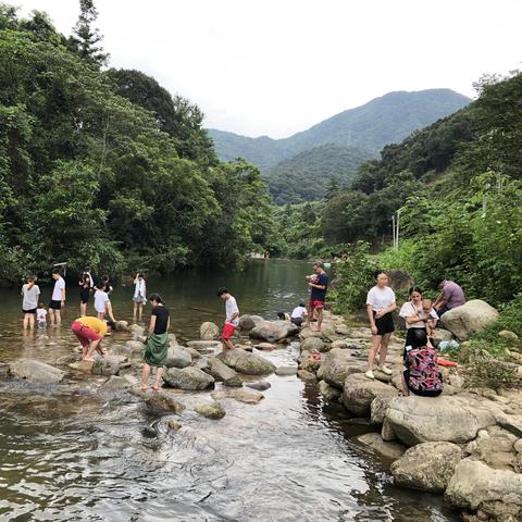 东莞市小溪在哪里